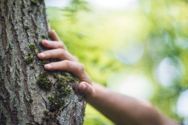 istock A man's hand touch the tree trunk close-up. Bark wood. Caring for the environment. The ecology concept of saving the world and love nature by human 1839986383
