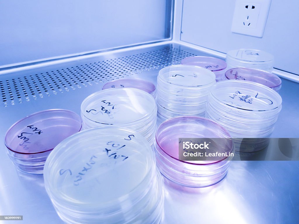 Microbiológicos de Media - Royalty-free Amontoar Foto de stock
