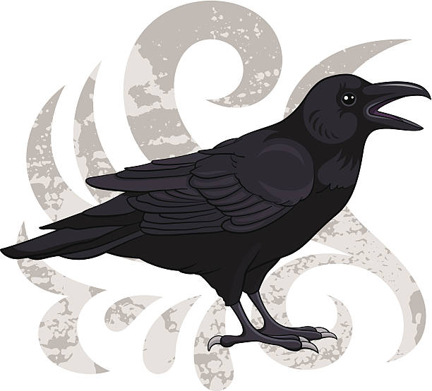 Raven Risco 3,500+ Raven Drawing Stock Photos, Pictures & Royalty-Free Images - iStock