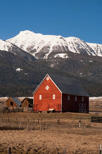 istock Livestock Wind Break Horse Leaning Red Barn Mountain Ranch 183999882