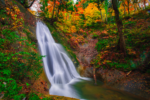 A large waterfall filled with colorful leaves When it was raining in Yurihonjo City Akita Prefecture