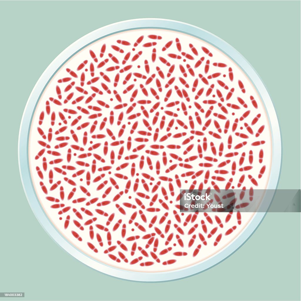Cultura de bactérias patogénicas - Royalty-free Disco de Petri arte vetorial