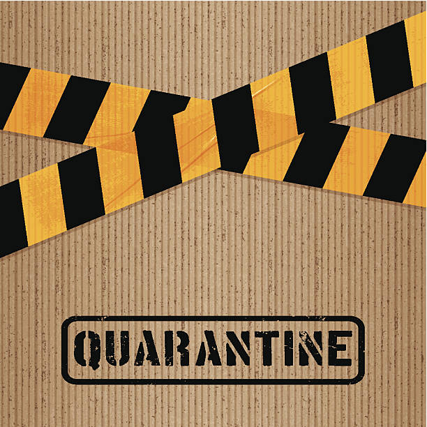 종이 (포장 테이프 및 icons_quarantine 인쇄하였습니다 - cardboard adhesive tape textured backgrounds stock illustrations