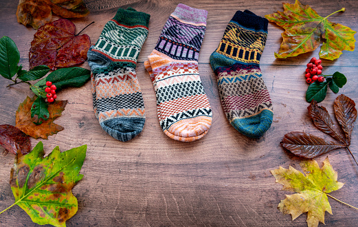 Three pairs of colourful Winter woollen socks with fallen leaves and red berries by the side on a wooden background.