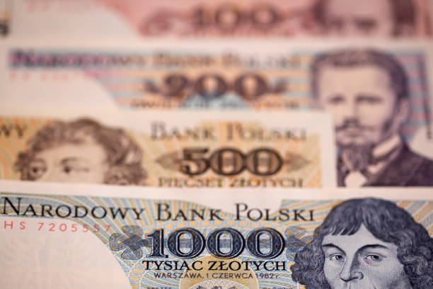 istock Old Polish money a business background 1840068825