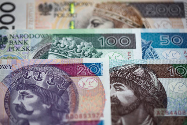 istock Polish money a business background 1840070446