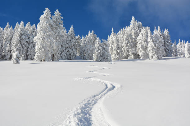 istock Ski tracks in fresh powder 1840143878