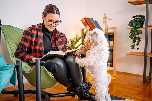 Woman working from home while dog is around