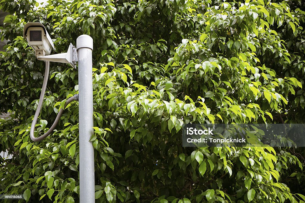 CCTV sotto gli alberi nel parco - Foto stock royalty-free di Albero