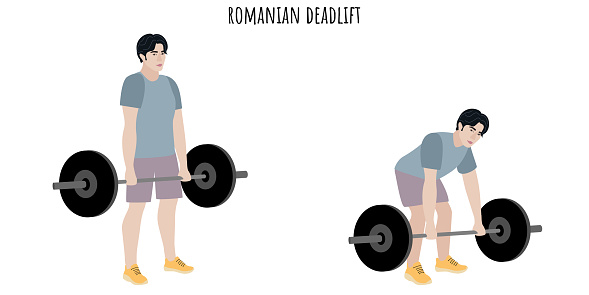 Asian young man doing romanian deadlift exercise. Sport, wellness, workout, fitness. Flat vector illustration