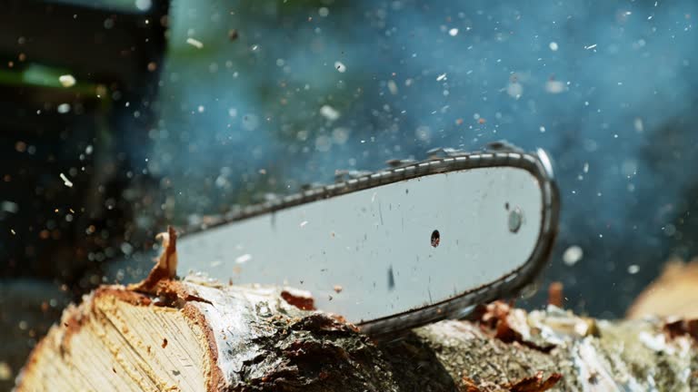 Super Slow Motion of a Chainsaw Cutting the Wooden Log