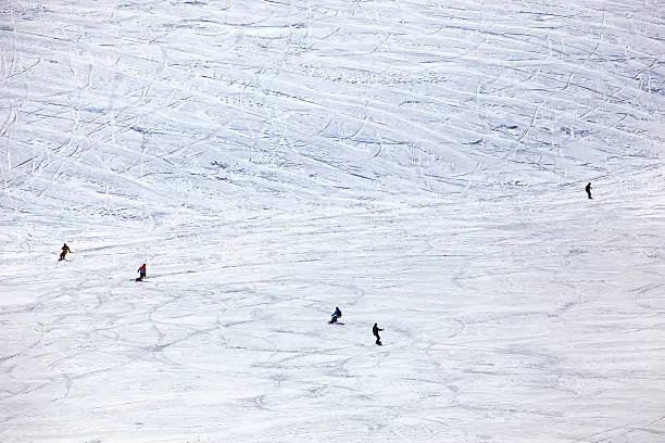snowboarders sliding on the slope