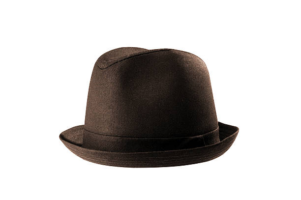 istock male winter brown hat isolated 184021064