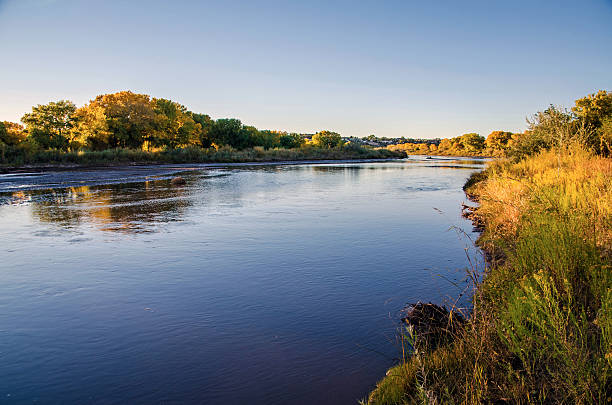 Albuquerque Bosque The Rio Grande flows through the Albuquerque Bosque in the middle of the city. The cottonwood trees are in full autumn ccolor. cottonwood tree stock pictures, royalty-free photos & images