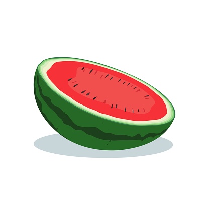 A half of a ripe watermelon cut lengthwise vector illustration isolated on white background
