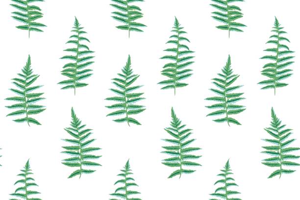 istock Seamless simple leaves fern pattern. Vector hand drawn abstract, artistic, silhouette organic stems leaf  print. Template for design, fabric, interior decor, textile, fashion, wallpaper 1840228614