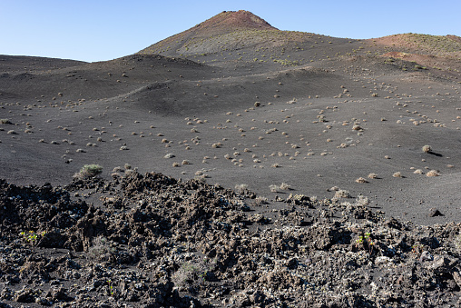 Sparse vegetation around Montanña de Mazo o Negra on volcanic Canary island Lanzarote