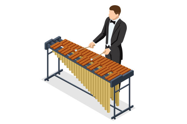 等尺性の木琴。木琴で演奏するミュージシャン。木琴は、木槌で叩く木の棒で構成される打楽器ファミリーの楽器です。 - xylophone点のイラスト素材／クリップアート素材／マンガ素材／アイコン素材