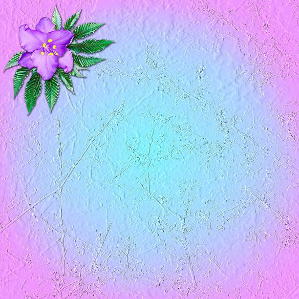 istock Pink-and-blue grungy background with flower violet 184026194