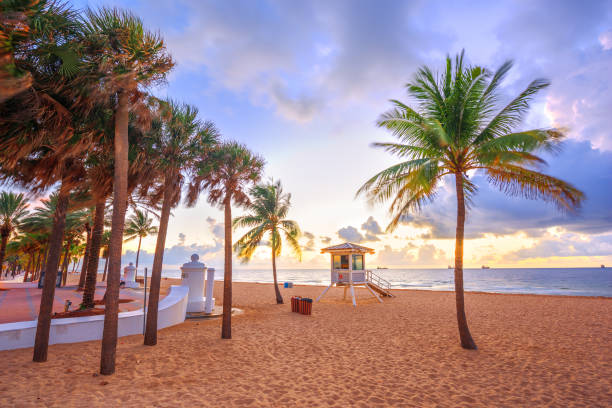 fort lauderdale beach, florida, stati uniti - city of sunrise immagine foto e immagini stock