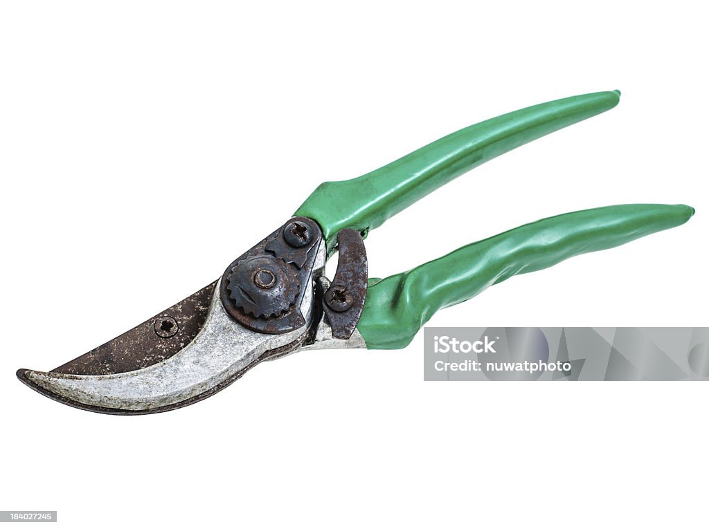 Alten Garten secateurs Isoliert - Lizenzfrei Gartenschere Stock-Foto