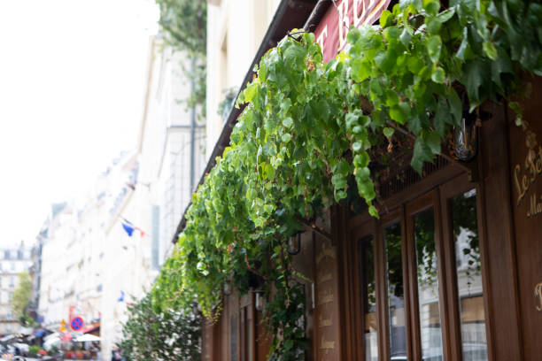 istock Hanging plants outside a French cafe 1840297163