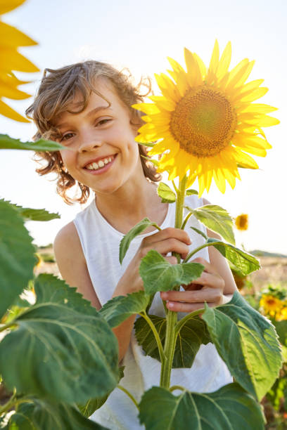 istock Happy child with blooming sunflower on meadow 1840299611