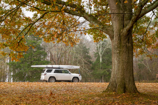 toyota 4runner suv com uma concha de remo, literace 1x por liteboat em racks de teto, manhã de novembro em uma margem do rio tennessee. - 1x - fotografias e filmes do acervo