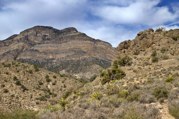 istock Red Rock Canyon National Conservation Area 1840320388