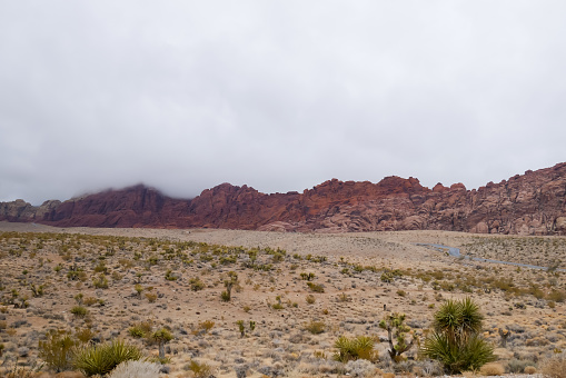 View of landscape red rock canyon national park at nevada,USA.