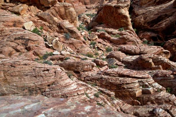istock Red Rock Canyon National Conservation Area 1840328770