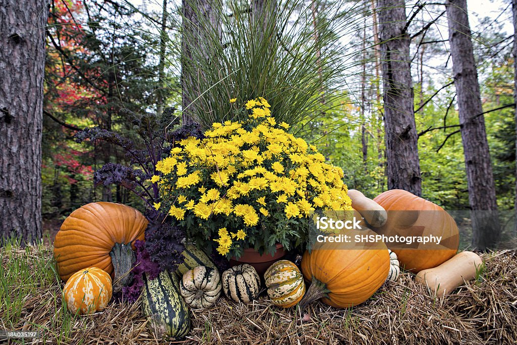 Stile autunno nella foresta - Foto stock royalty-free di Paglia