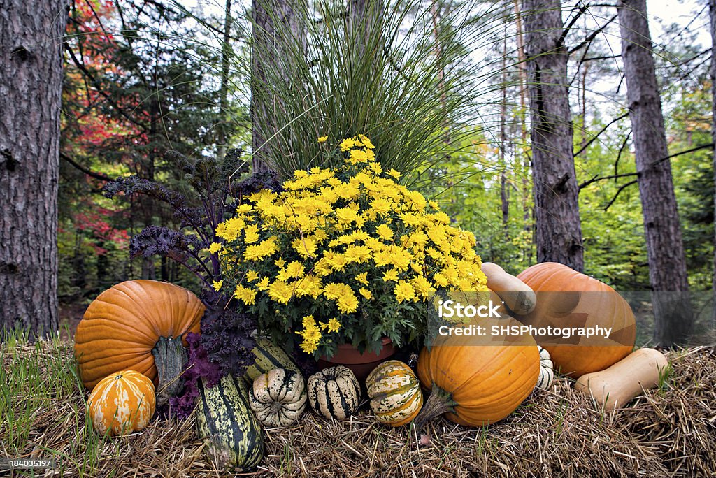 Декор в лесу осенью - Стоковые фото Солома роялти-фри