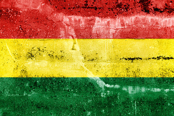 istock Bolivia Flag painted on grunge wall 184035287
