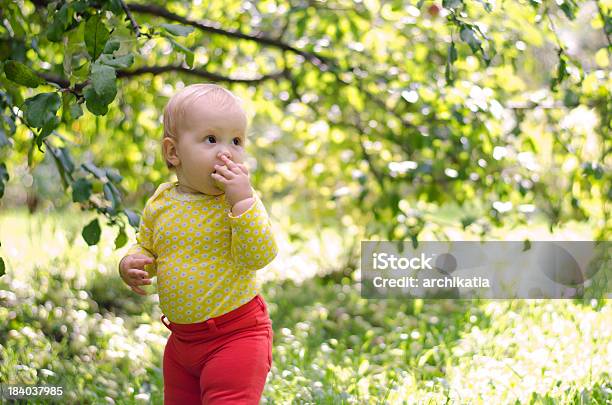 Dziewczyna W Sad Jabłkowy - zdjęcia stockowe i więcej obrazów Czujność - Czujność, Dziecko, Dziewczyny