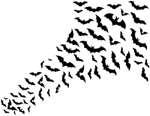 Group of bats. Vector illustration in HD very easy to make edits. bats stock illustrations