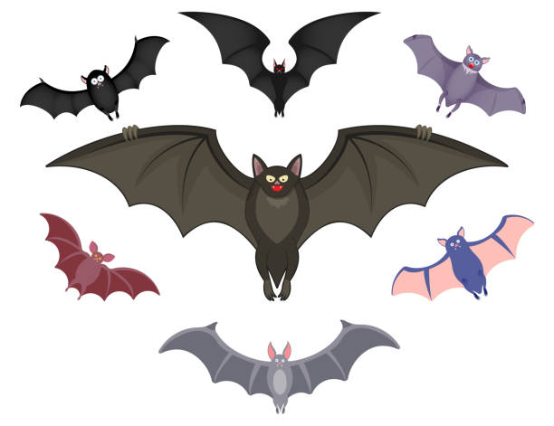 Set of bat illustration and icons. Vector illustration in HD very easy to make edits. bats stock illustrations