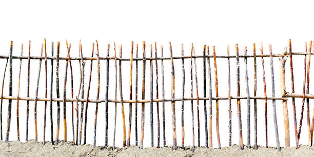 istock fence of twigs isolated on white background 184040146