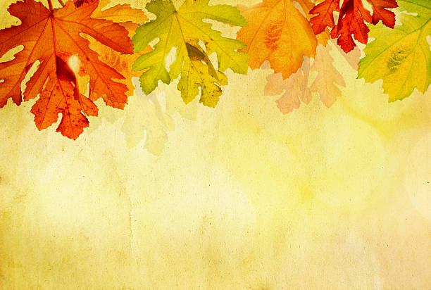 istock Autumn leaves on grunge background 184041434