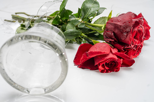 Broken glass vase with red roses bouquet close up