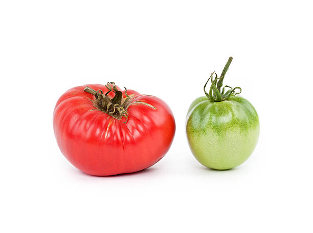istock Green and red tomato on white 184043641