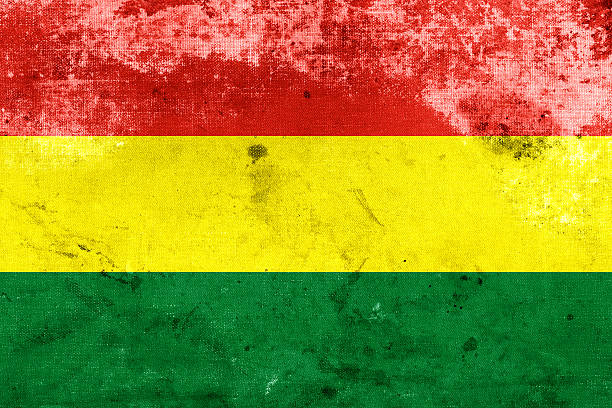 istock Grunge Bolivia Flag 184044587