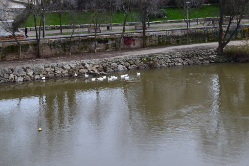 Nature in Valladolid