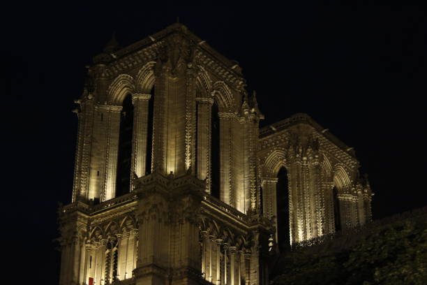 Top of Notre Dam Cathedral in night.