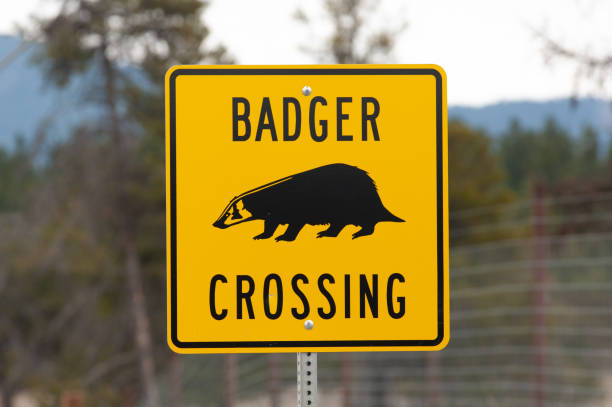 istock Badger crossing sign in British Columbia 1840508419