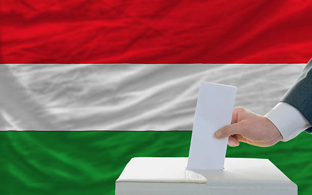 istock man voting on elections in hungary front of flag 184054136