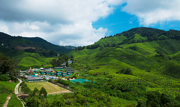 Natureza e paisagem - foto de acervo