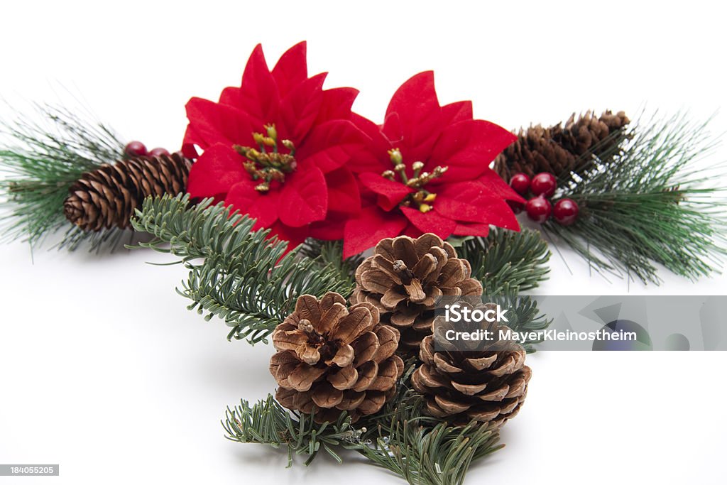 Stella di Natale con Pigna - Foto stock royalty-free di Avvento