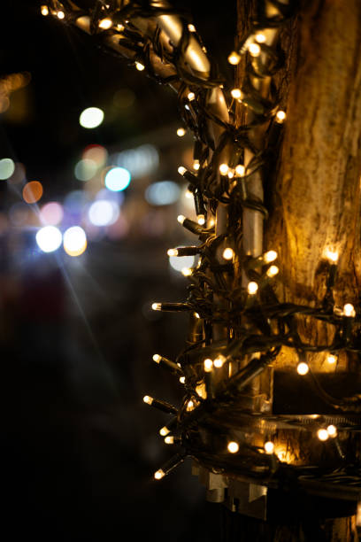istock City Twinkle: Urban Tree Adorned with Fairy Lights 1840562064