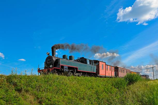 istock Narrow gauge steam train. 184057036